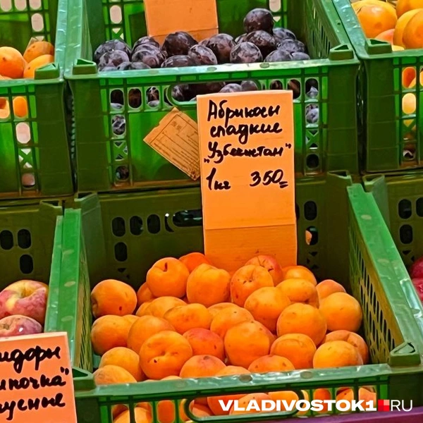 Источник: Елена Буйвол / VLADIVOSTOK1.RU