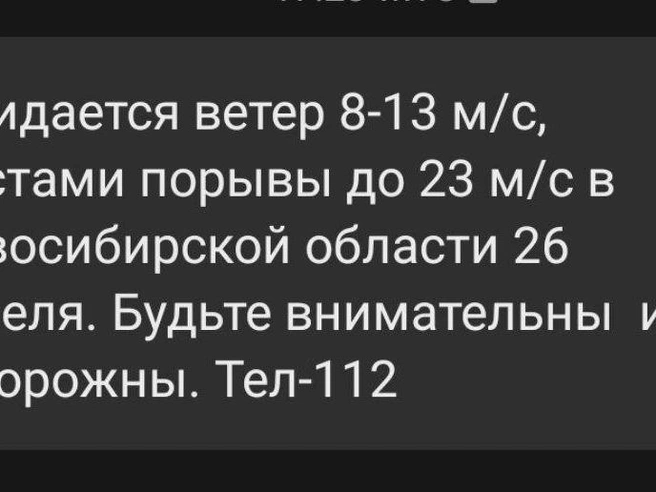Ожидаются кратковременные дожди и грозы | Источник: НГС