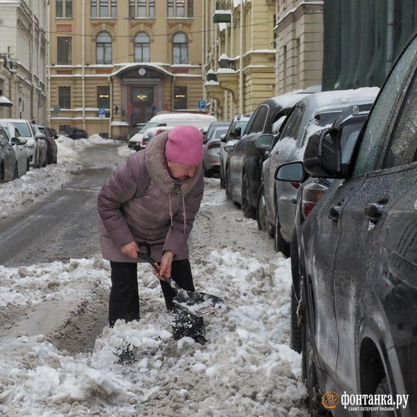 Источник: Михаил Огнев / FONTANKA.RU