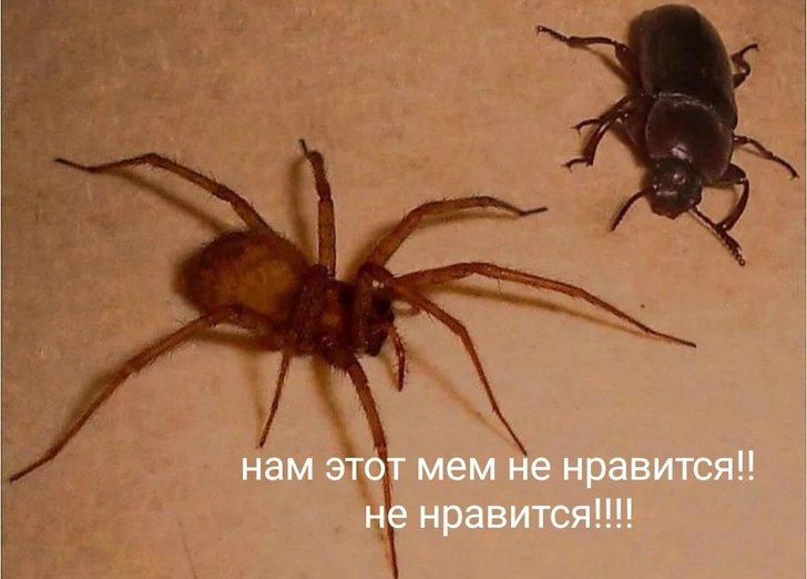 Источник: Соцсети