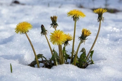 16 февраля в Забайкалье прогнозируют потепление до +1