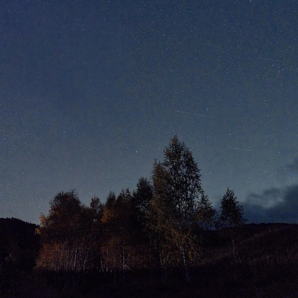 И прислушивались к шорохам медведя | Источник: Сергей Коршилов / Вконтакте