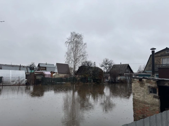 Участки тоже под водой | Источник: читатель 74.RU