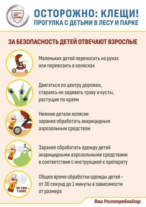 Источник: Роспотребнадзор по Приморскому краю