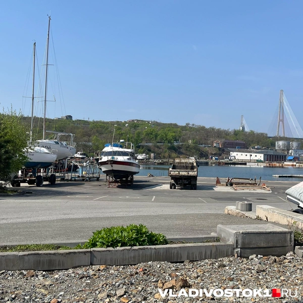 Источник: Елена Буйвол / VLADIVOSTOK1.RU
