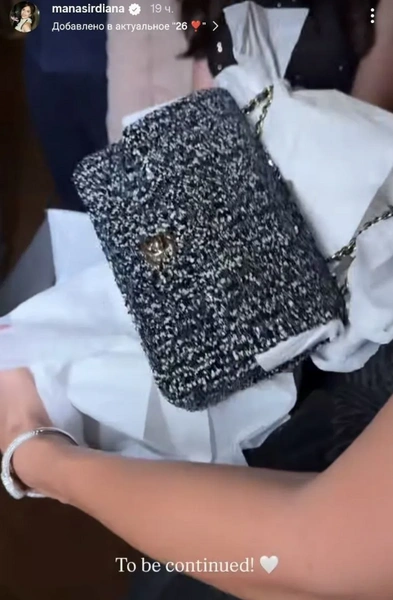 Сумка Chanel — подарок Диане на день рождения | Источник: Соцсети