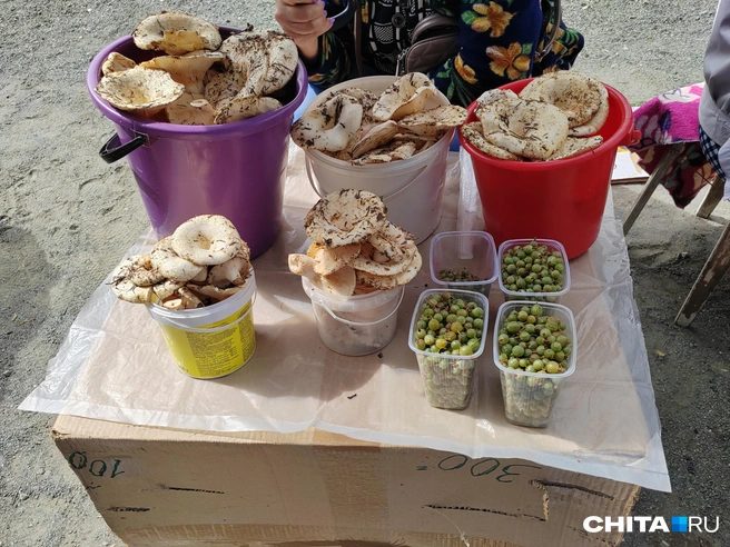 Грузди соседствуют со сладким крыжовником — он стоит 200 рублей за контейнер | Источник: Дарья Кливенкова / CHITA.RU