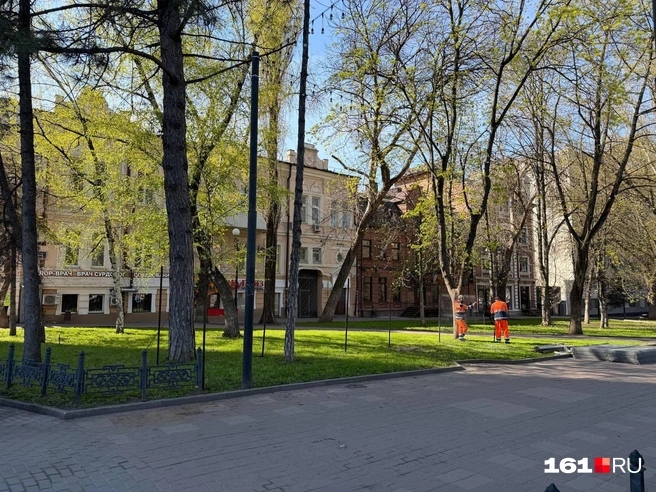 Источник: Евгений Вдовин / 161.RU