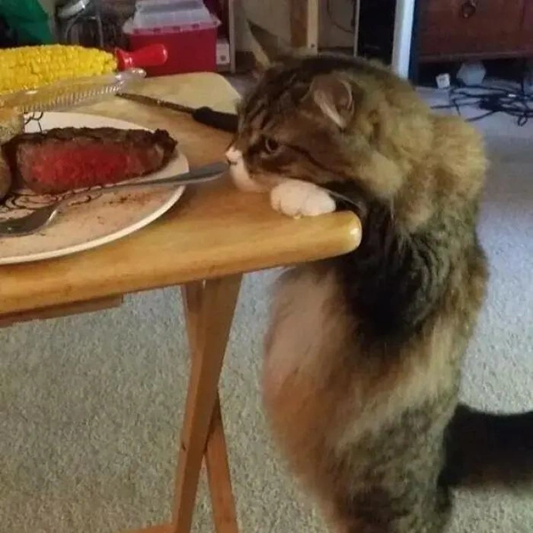 Источник: соцсети