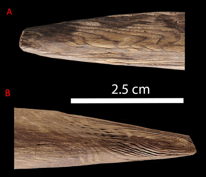 Непростая палка: посмотрите на копье, которое метали как бумеранг 300 тысяч лет назад