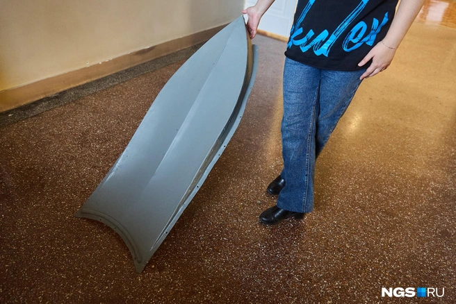 Чешуйки разного размера из-за формы крыши. Это примерно средняя | Источник: Александр Ощепков / NGS.RU