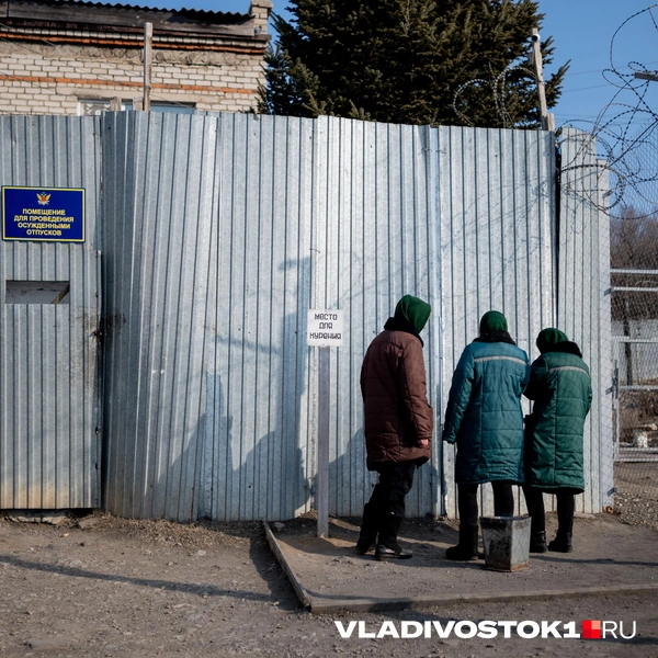 Источник: Елена Буйвол / VLADIVOSTOK1.RU