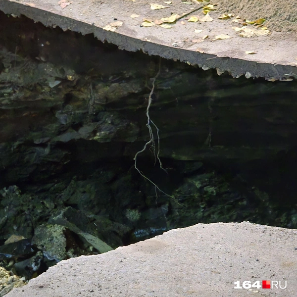 Место происшествия | Источник: Семен Коротов-Майбах / 164.RU