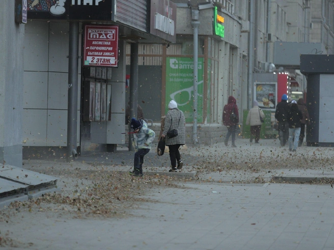 В такую погоду, по-видимому, весело только детям. | Источник: Андрей Бортко / NGS.RU