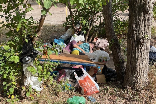 Бомжи обнимаются в импровизированном шалаше | Источник: Елена С. / Vk.com