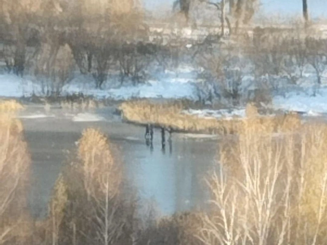 Возраст самого младшего ребенка составлял 7 лет | Источник: По данным оперативных служб