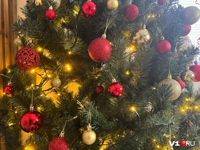 Один из способов не разводить клещей&nbsp;— завести искусственную елку. Но не все готовы идти на такие жертвы | Источник: Арина Рязанова / V1.RU