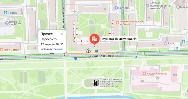 В Петербурге перекрыли дорогу, чтобы обезвредить медведя. Показываем как | Источник: yandex.ru