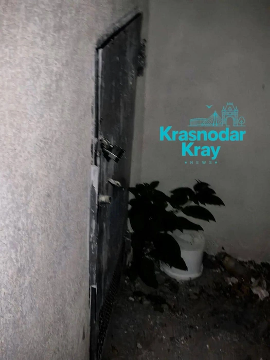 Такая картина на Игнатова, 65 | Источник: t.me/krasnodarkray1