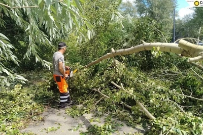 Ураган в Челябинске: Ленинский район завален деревьями