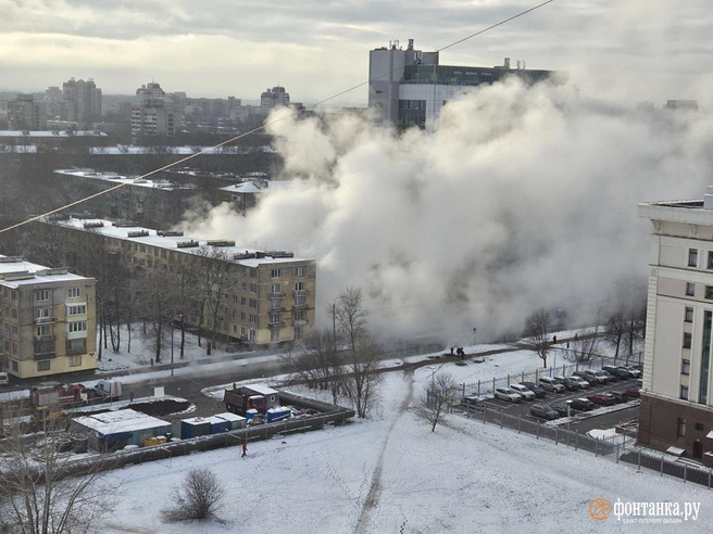 Клубы пара и нет проезда. На Бассейной прорвало трубу | Источник: читатель «Фонтанки»
