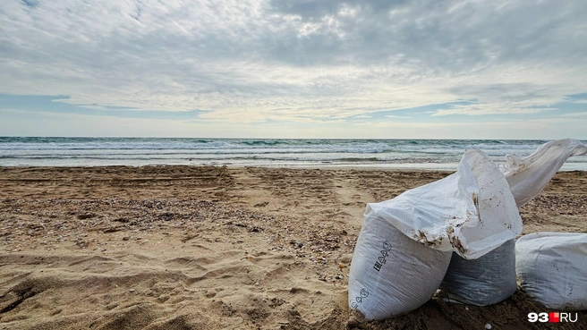 В конце октября спасатели и волонтеры вновь начали массово выходить на пляжи | Источник: Никита Зырянов / 93.RU