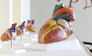 В Петербурге открылся Музей сердца