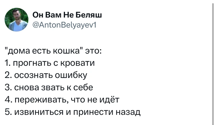 Шутки пятницы и «нужен санокс»