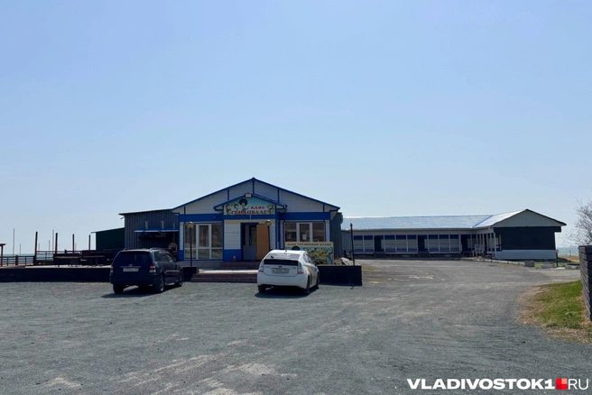 Источник: Елена Буйвол / VLADIVOSTOK1.RU