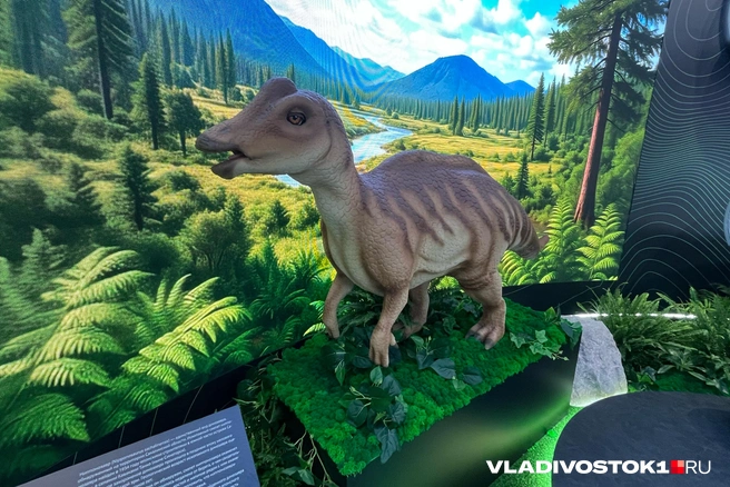 Источник: Елена Буйвол / VLADIVOSTOK1.RU