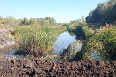 Часть земель элитного поселка под Воронежем могут изъять