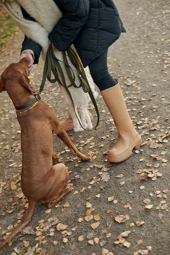 Как одеваться на прогулку с собакой: 6 модных советов, которые работают