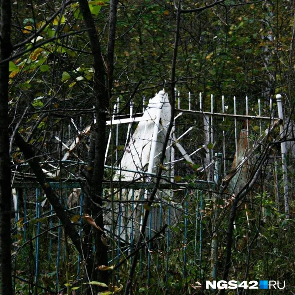 Пробраться к иным захоронениям почти невозможно | Источник: Татьяна Ирискина / NGS42.RU