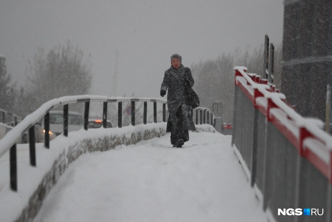 Источник: Андрей Бортко / NGS.RU