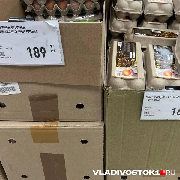 Источник: Елена Буйвол / VLADIVOSTOK1.RU