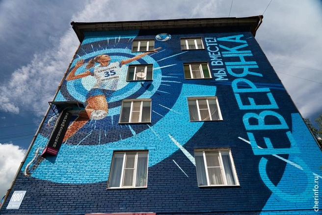 Источник: st.cherinfo.ru
