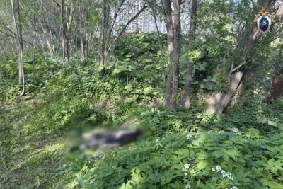 В Южно-Сахалинске выясняют обстоятельства гибели мужчины