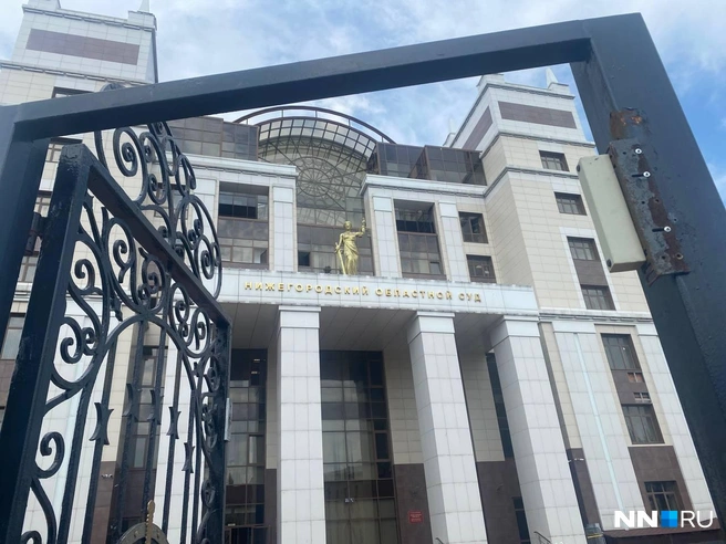 Дело рассматривают в областном суде | Источник: Павел Тиунов / NN.RU