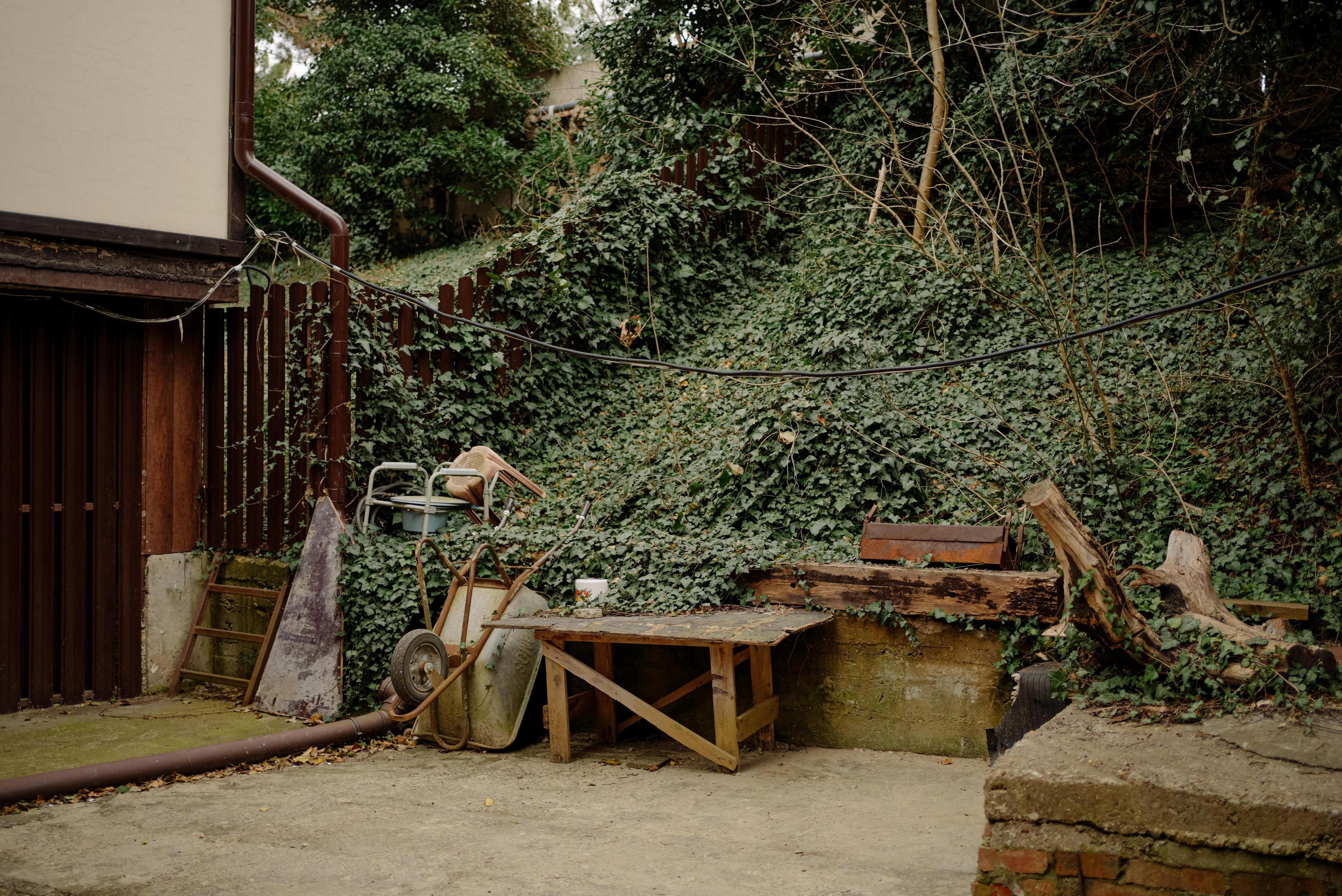 � �������� ������ �������� �������: �� ��� �� ��� ������ �������� �������� �������