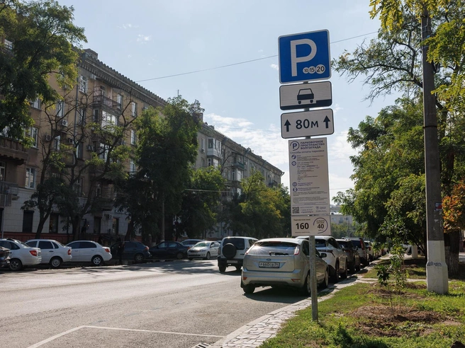Еще одна проблема — заплатить за парковку в отсутствие интернета | Источник: Алексей Волхонский / V1.RU