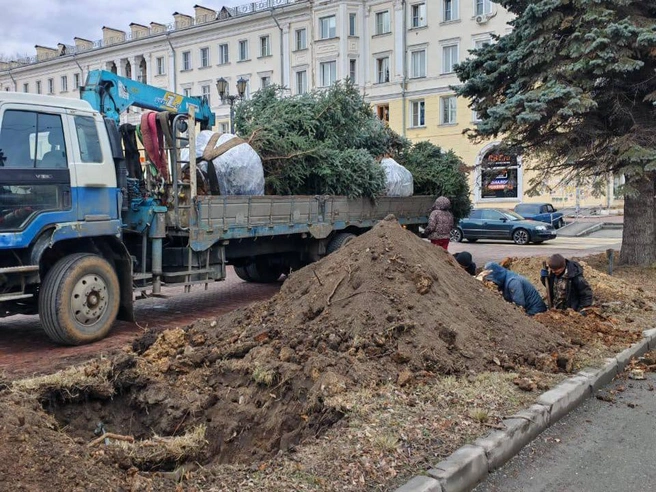Крупномеры высадили и на площадке Челябинского металлургического комбината | Источник: kdhchel / t.me