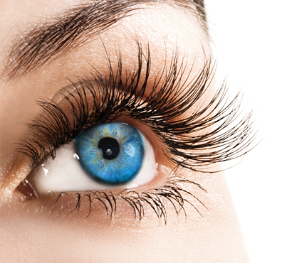 Сбор заказов. Секрет красоты франц...