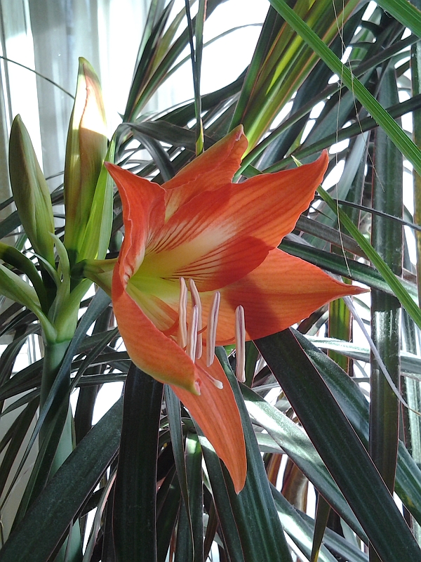 ������� ����� ������� ������ :)