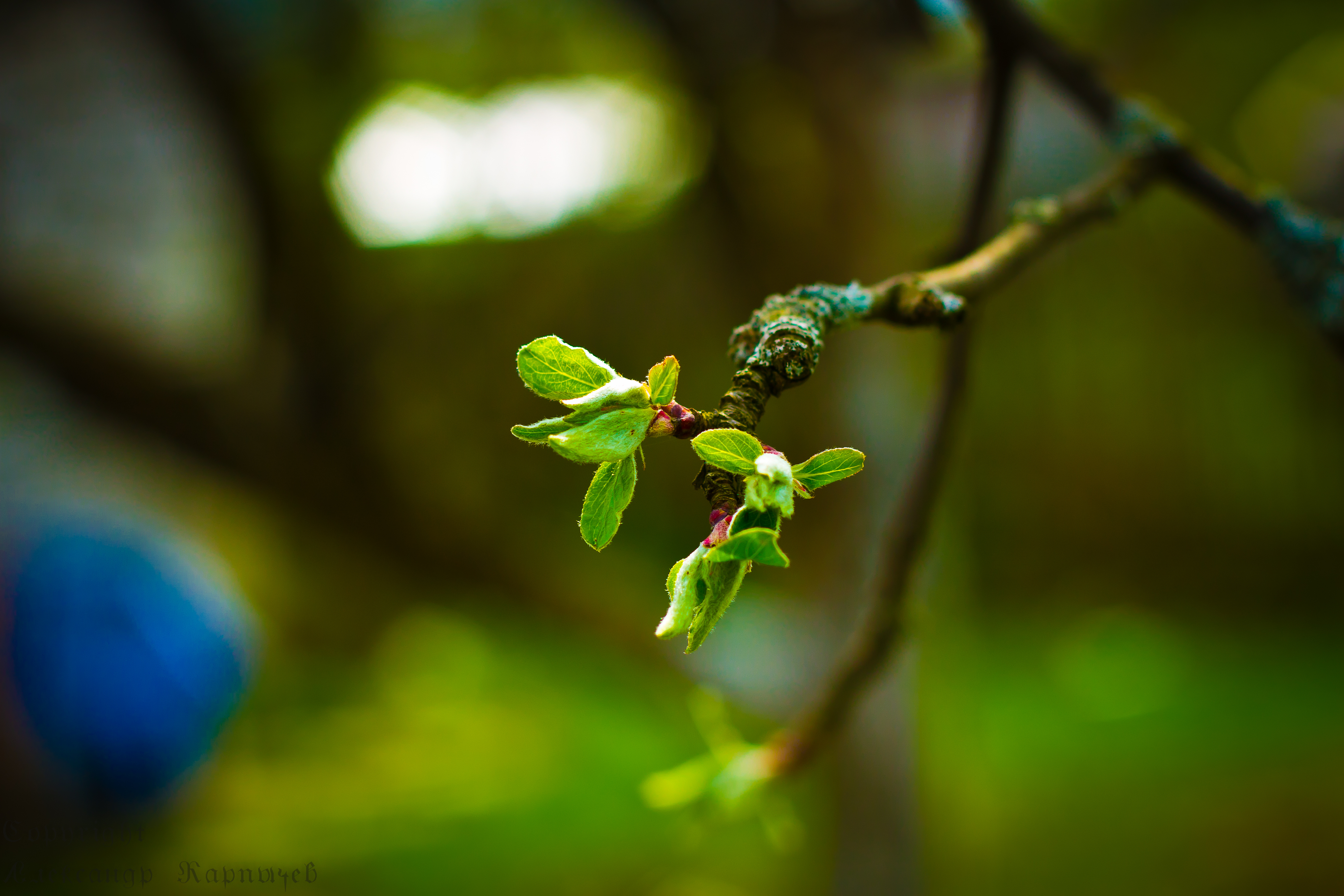 МАКРО 
 dobryi-pyos.livejournal.co...