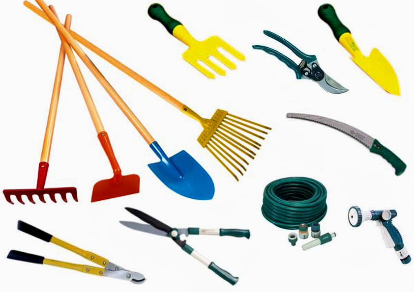 Сад-палисад. Поможем посадить, пол...