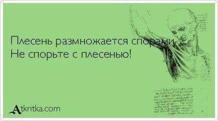 Плесень размножается спорами, нико...