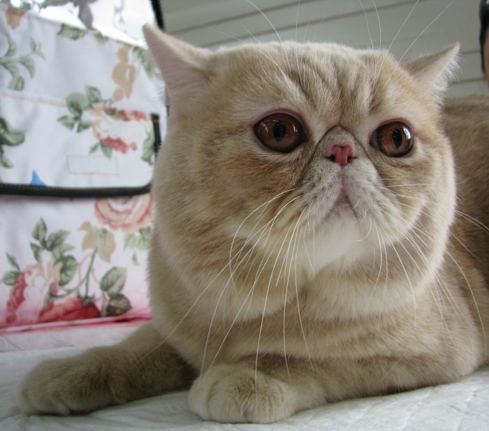 На заметку. 
Если добавить в текст...