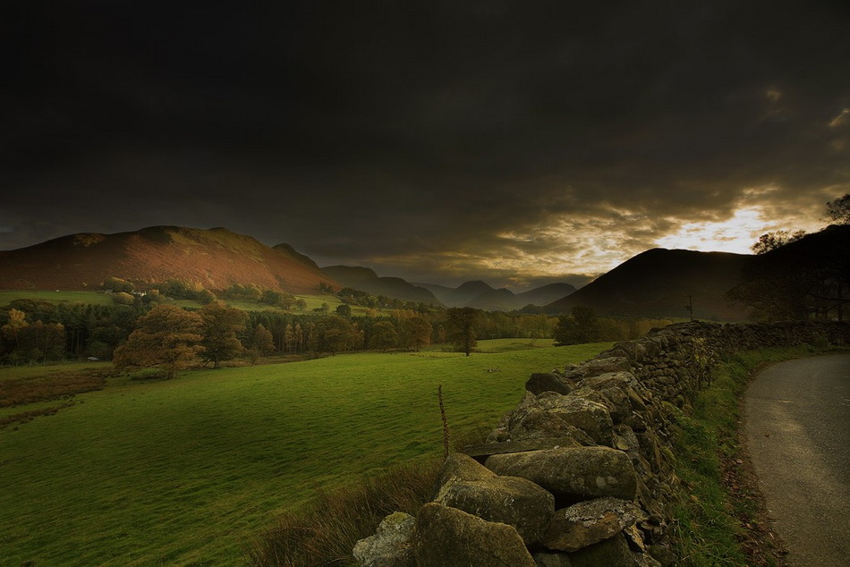 Родина чеширского кота &mdash; графство...