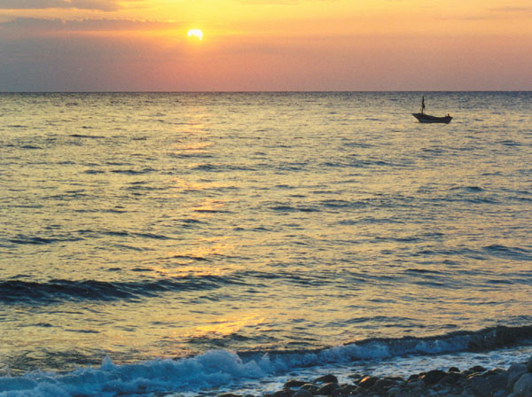 ���� ����))))