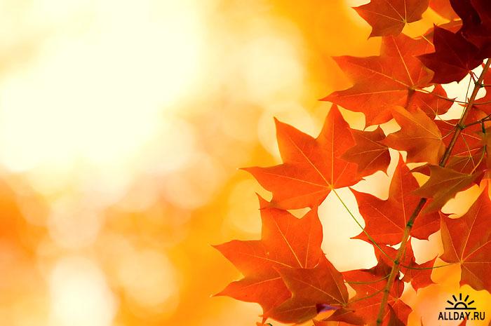 Осенняя пора! очей очарованье! - о...